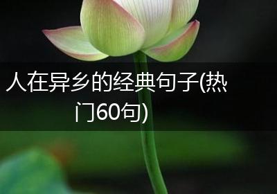 人在异乡的经典句子(热门60句)