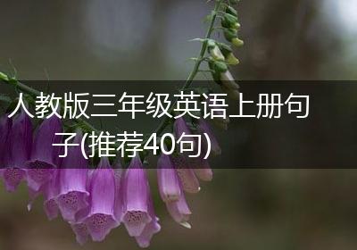 人教版三年级英语上册句子(推荐40句)