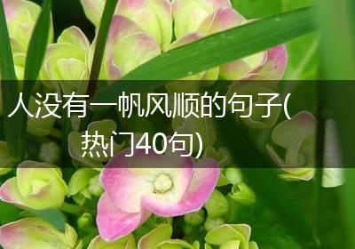 人没有一帆风顺的句子(热门40句)
