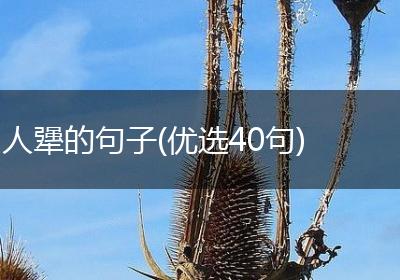 人犟的句子(优选40句)