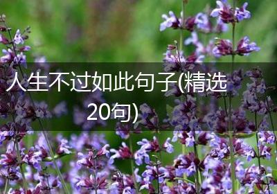 人生不过如此句子(精选20句)
