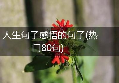 人生句子感悟的句子(热门80句)
