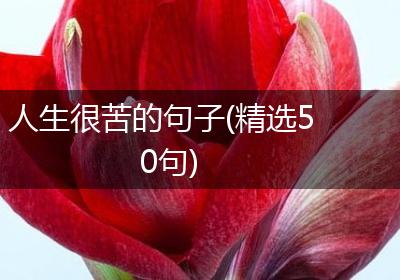 人生很苦的句子(精选50句)