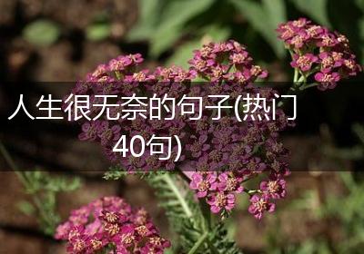 人生很无奈的句子(热门40句)