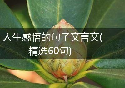 人生感悟的句子文言文(精选60句)