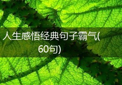 人生感悟经典句子霸气(60句)