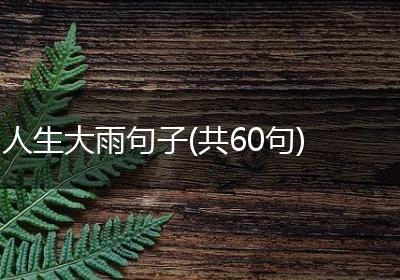 人生大雨句子(共60句)