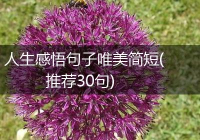人生感悟句子唯美简短(推荐30句)