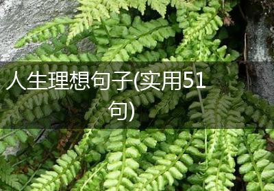 人生理想句子(实用51句)