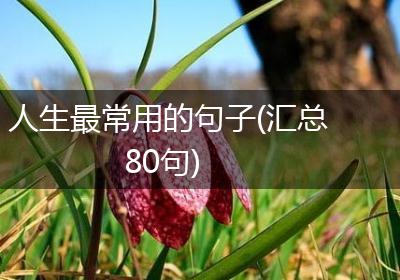 人生最常用的句子(汇总80句)