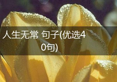人生无常 句子(优选40句)