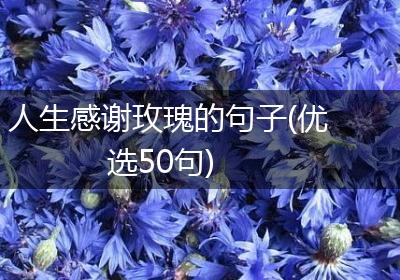 人生感谢玫瑰的句子(优选50句)