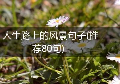 人生路上的风景句子(推荐80句)