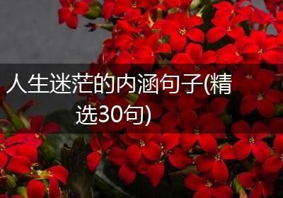 人生迷茫的内涵句子(精选30句)