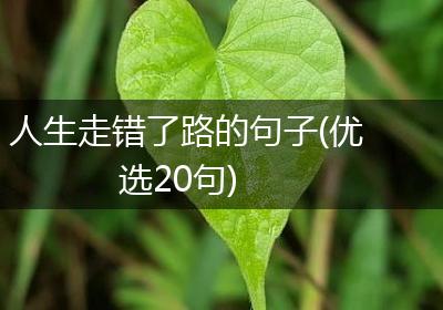 人生走错了路的句子(优选20句)
