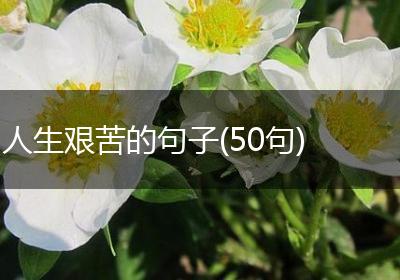 人生艰苦的句子(50句)