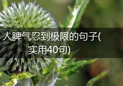 人脾气忍到极限的句子(实用40句)