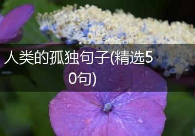 人类的孤独句子(精选50句)