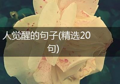 人觉醒的句子(精选20句)