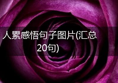 人累感悟句子图片(汇总20句)