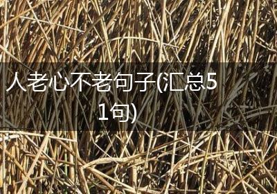人老心不老句子(汇总51句)
