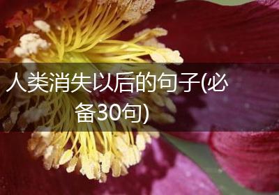 人类消失以后的句子(必备30句)