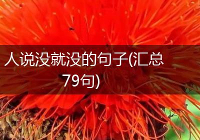 人说没就没的句子(汇总79句)