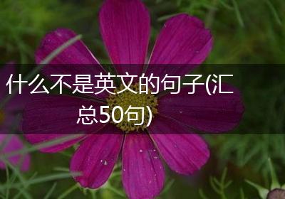 什么不是英文的句子(汇总50句)