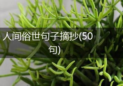 人间俗世句子摘抄(50句)