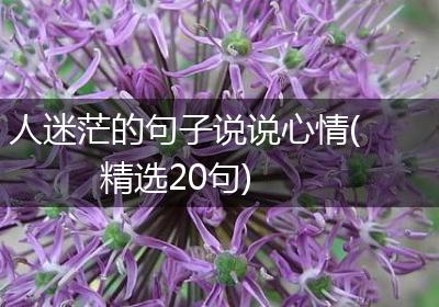 人迷茫的句子说说心情(精选20句)
