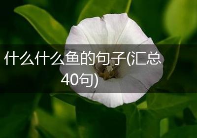 什么什么鱼的句子(汇总40句)
