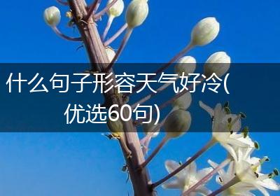 什么句子形容天气好冷(优选60句)