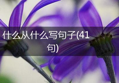 什么从什么写句子(41句)