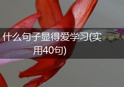 什么句子显得爱学习(实用40句)