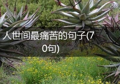 人世间最痛苦的句子(70句)