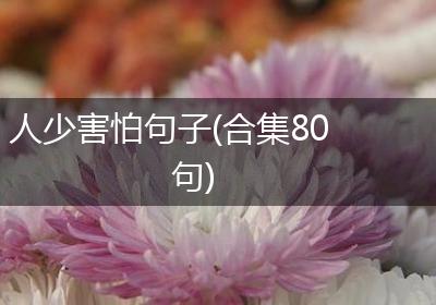 人少害怕句子(合集80句)