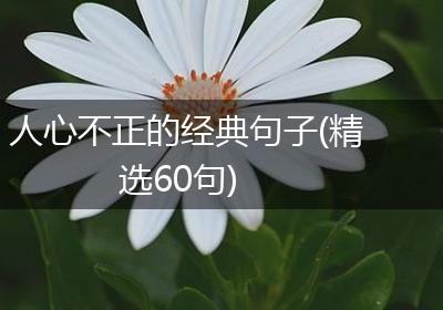 人心不正的经典句子(精选60句)