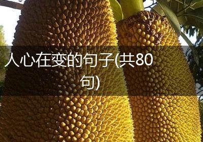 人心在变的句子(共80句)
