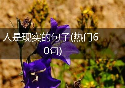 人是现实的句子(热门60句)