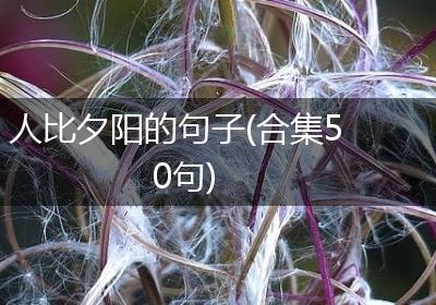 人比夕阳的句子(合集50句)