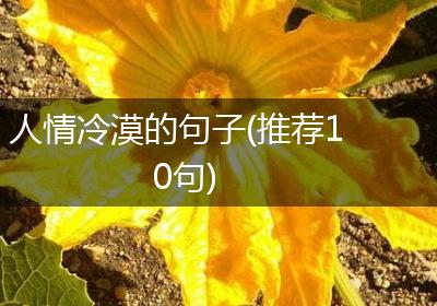 人情冷漠的句子(推荐10句)