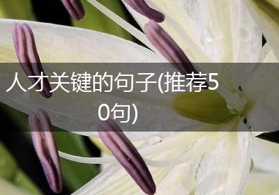 人才关键的句子(推荐50句)