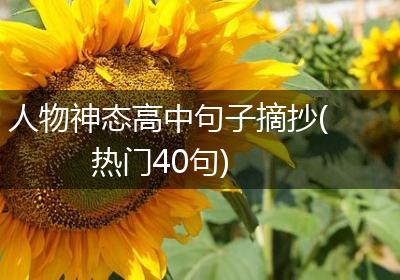 人物神态高中句子摘抄(热门40句)