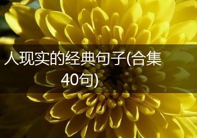 人现实的经典句子(合集40句)