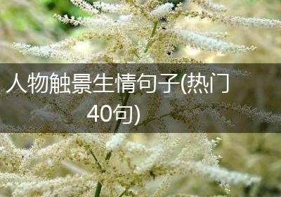 人物触景生情句子(热门40句)