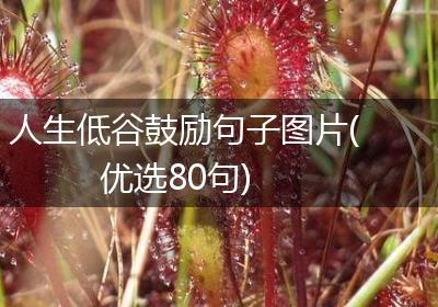 人生低谷鼓励句子图片(优选80句)