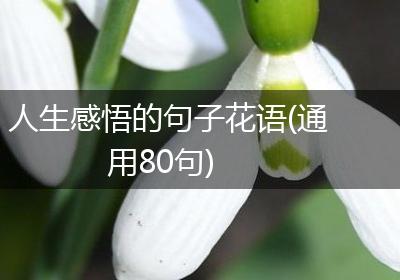 人生感悟的句子花语(通用80句)
