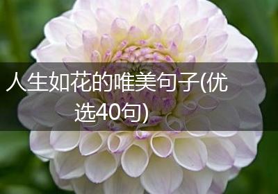人生如花的唯美句子(优选40句)