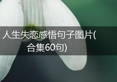 人生失恋感悟句子图片(合集60句)