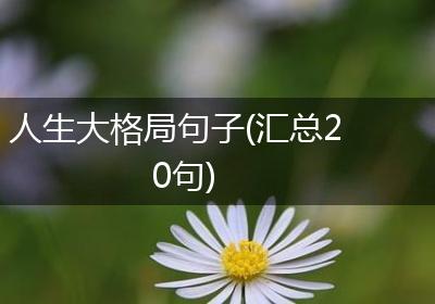 人生大格局句子(汇总20句)